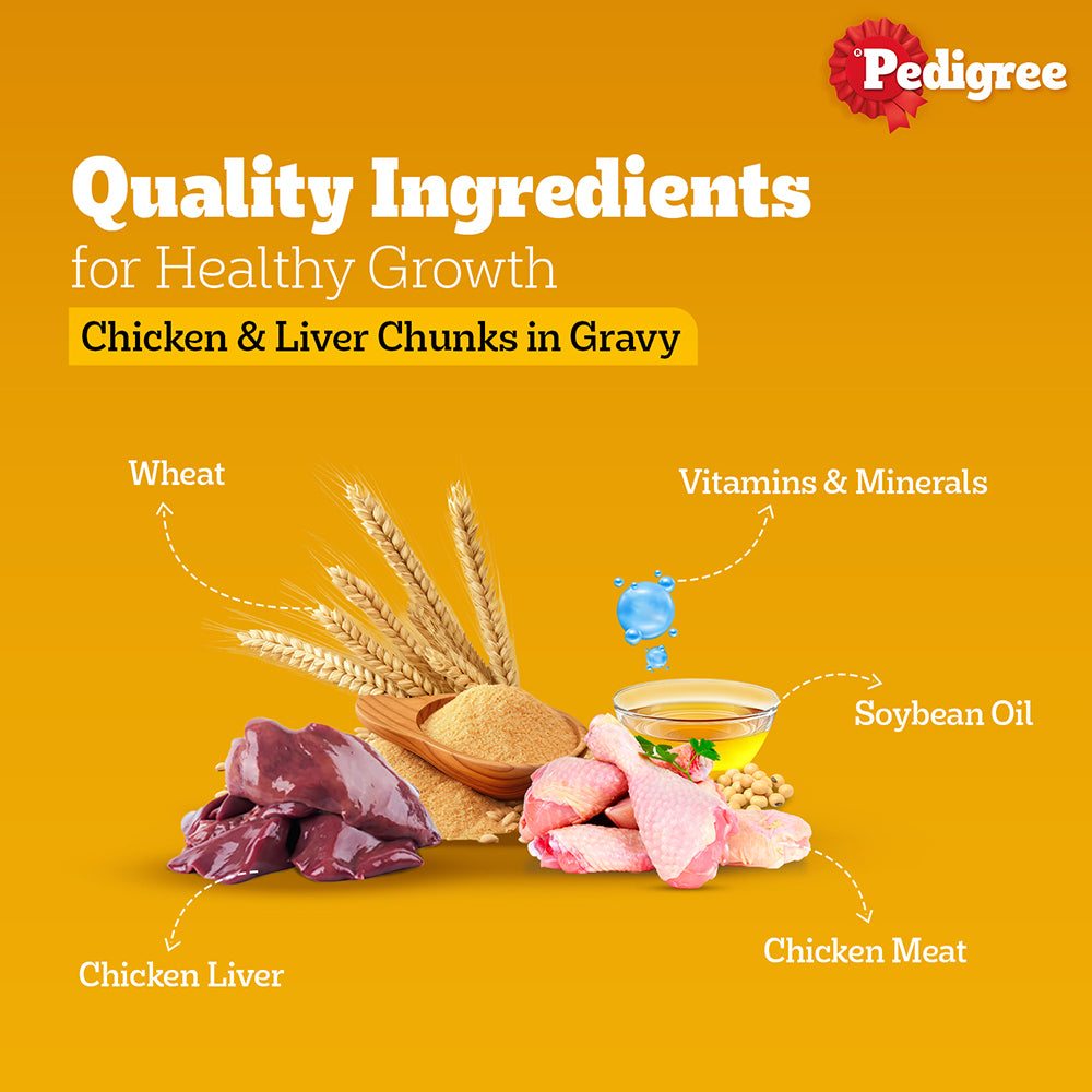 Pedigree Chicken and Liver Chunks in Gravy Adult Dog Wet Food (70g)
