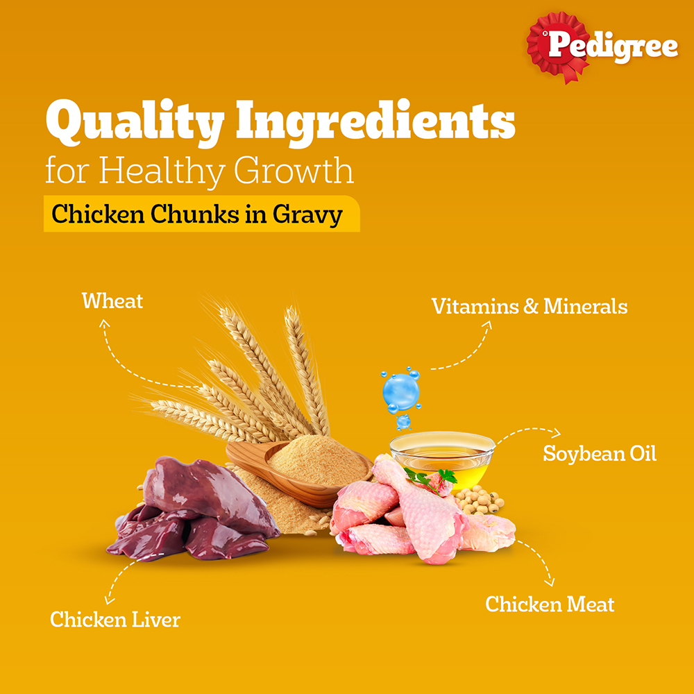 Pedigree Chicken Chunks in Gravy Pouch Puppy Dog Wet Food (130g)