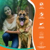 Lickicious Optima Chicken and Vegetable Adult Dog Dry Food Dogs- Dry Food Lickicious