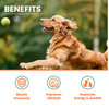 Lickicious Chicken Flavour Multivitamin Syrup for Dogs & Cats Both-Health & Wellness Lickicious