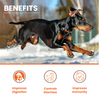Lickicious Pre and Probiotics Sachets,Gut Health & Digestion for Dogs & Cats Both-Health & Wellness Lickicious