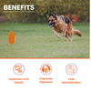 Lickicious Chicken Flavour Liver Care Syrup for Liver Support & Liver Detox for Dogs & Cats Both-Health & Wellness Lickicious