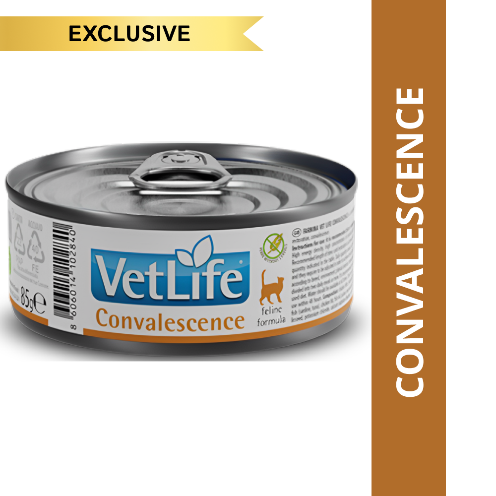 Farmina Vet Life Convalescence Feline Formula Cat Wet Food