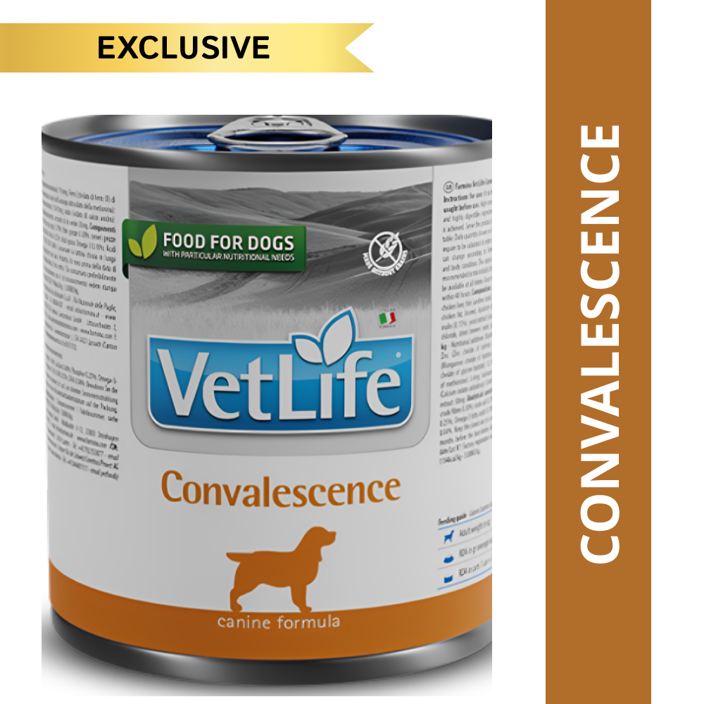 Farmina Vet Life Convalescence Canine Formula Dog Wet Food Dogs-Wet Food Farmina Vet Life 300g