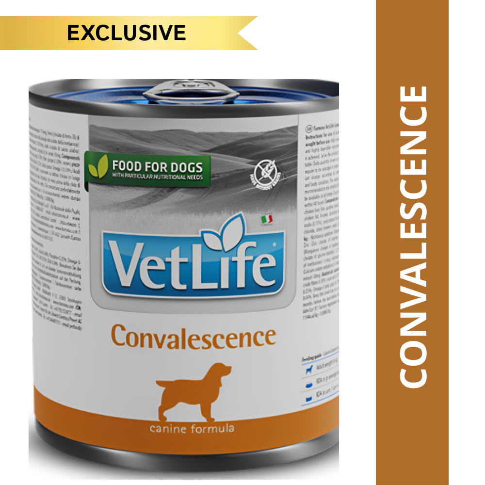 Farmina Vet Life Convalescence Canine Formula Dog Wet Food