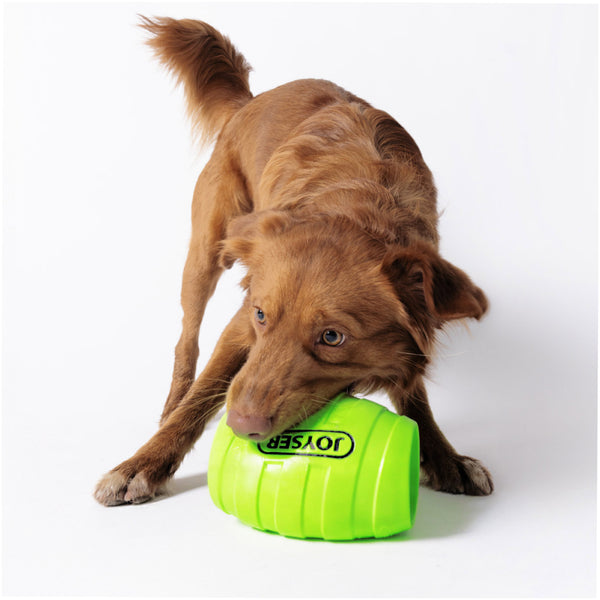 Joyser Active Holebarrel Toy for Dogs (Green)