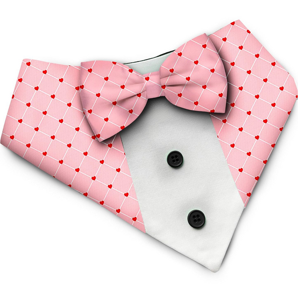 PawsIndia Valentines Edition Checks with Hearts Printed Tuxedo for Dogs and Cats
