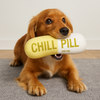 Talking Dog Chill Pill Plush Toy for Dogs (Olive) Dogs-Toys Talking Dog Club Dropship 22x21cm