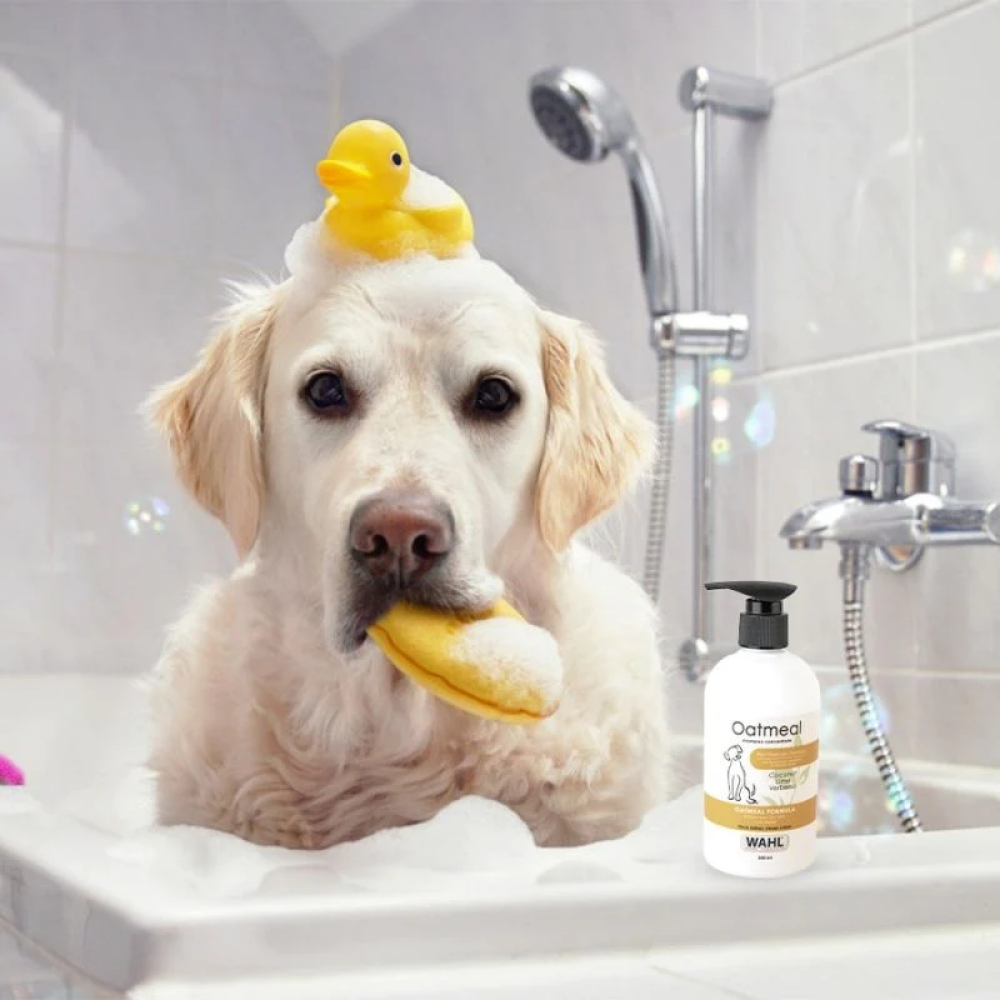 Wahl Oatmeal Shampoo for Dogs (Coconut Lime Verbana) Dogs-Grooming Supplies Wahl