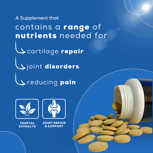 Venttura Flexi Plus Hip and Joint Chewable Tablets for Dogs