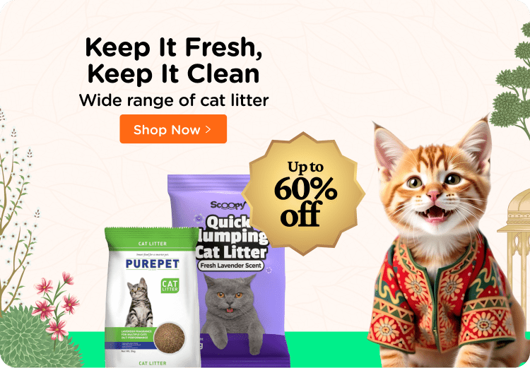 Buy cat supplies best sale