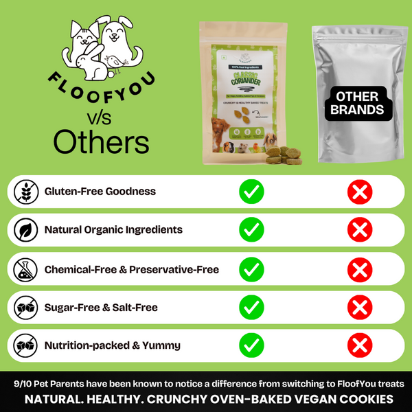 FloofYou Oven Baked Coriander Flavoured Small Animal Treats