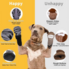 KUTKUT Non Slip Socks for Dogs (Grey) Dogs-Clothing & Accessories KUTKUT Dropship