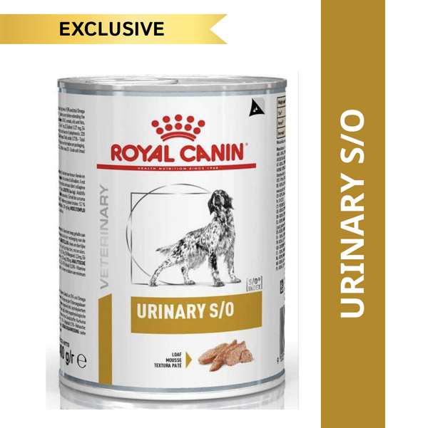 Royal Canin Veterinary Diet Urinary S/O Dog Wet Food