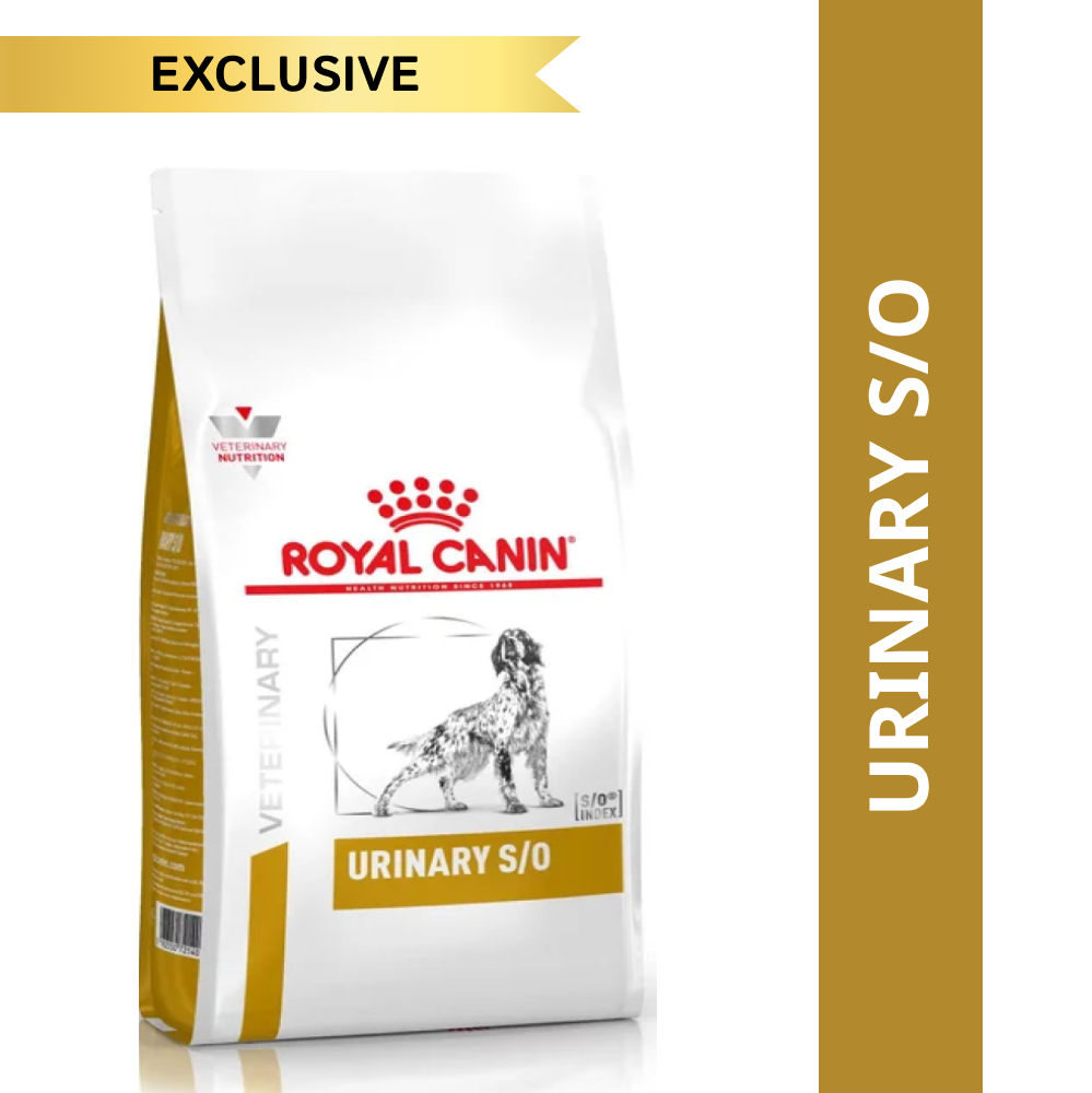 Royal Canin Veterinary Diet Urinary S/O Dog Dry Food