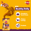 Pedigree New Healthy Belly Adult Dog Dry Food Dogs- Dry Food Pedigree