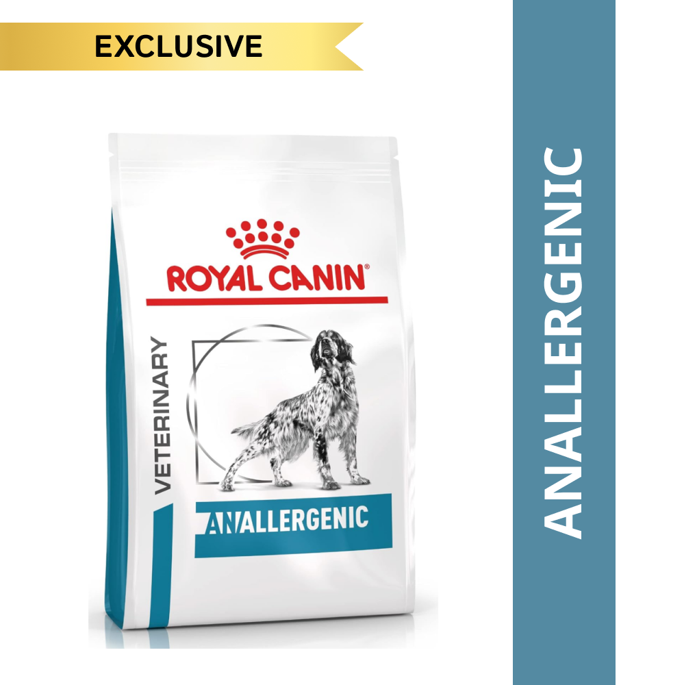 Buy Royal Canin Veterinary Diet Anallergenic Dog Dry Food Online Supertails