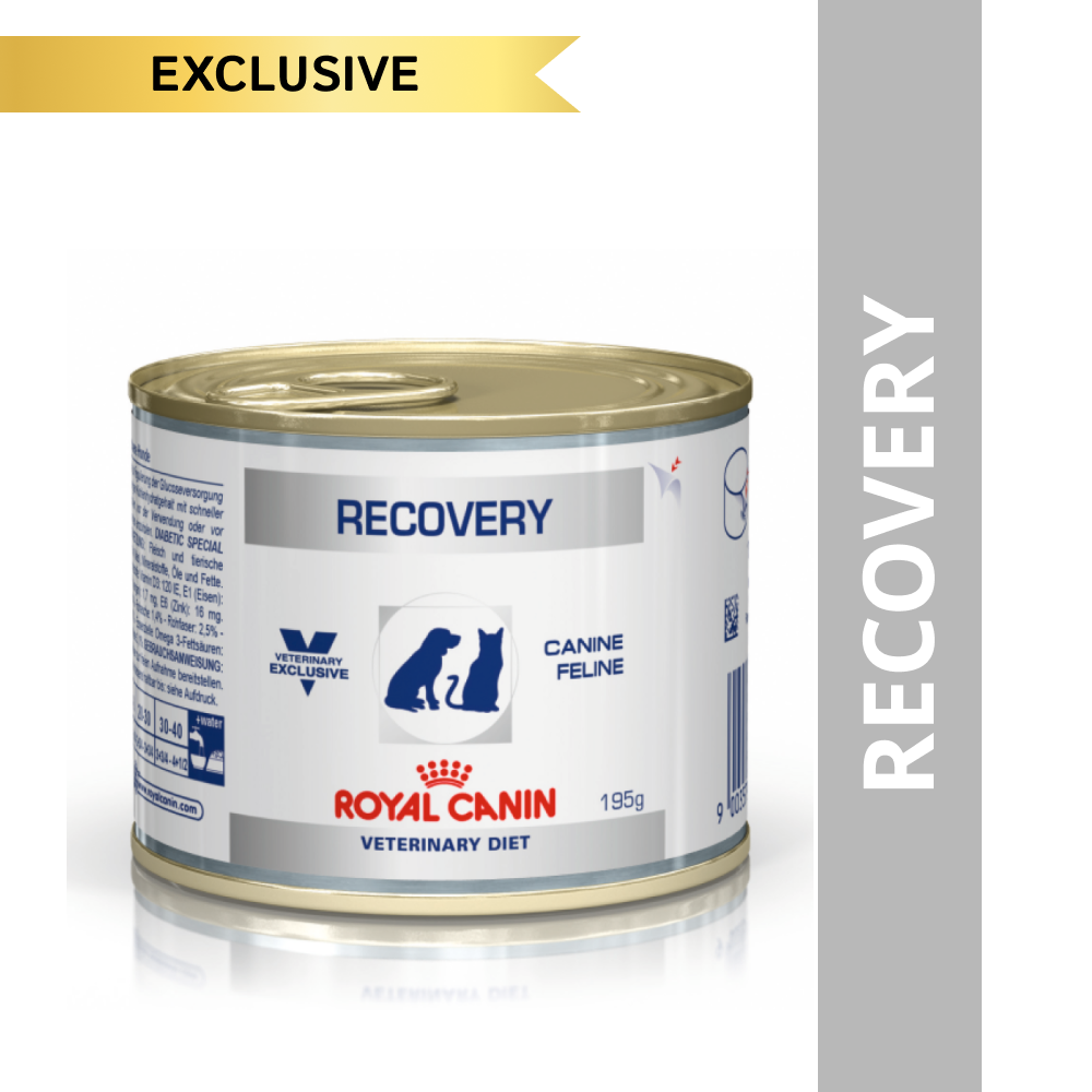 Royal Canin Recovery Canned Adult Pet Wet Food