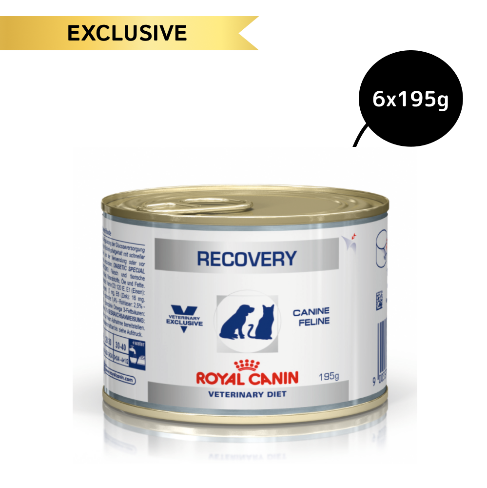 Royal Canin Recovery Canned Adult Pet Wet Food