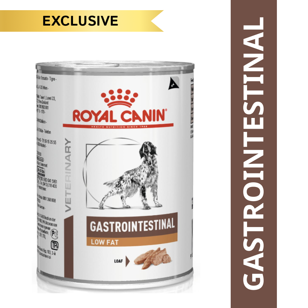 Royal Canin Intestinal Low Fat Loaf Canned Wet Dog Food