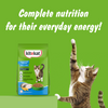 Kitekat Ocean Fish Adult Cat Dry Food Cats- Dry food Kitekat