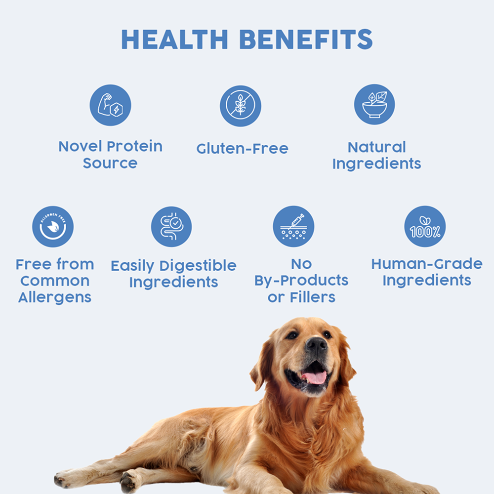 Benny's Bowl Hypoallergenic Diet to Prevent Allergies Dog Wet Food Dogs-Fresh Food Bennys Bowl