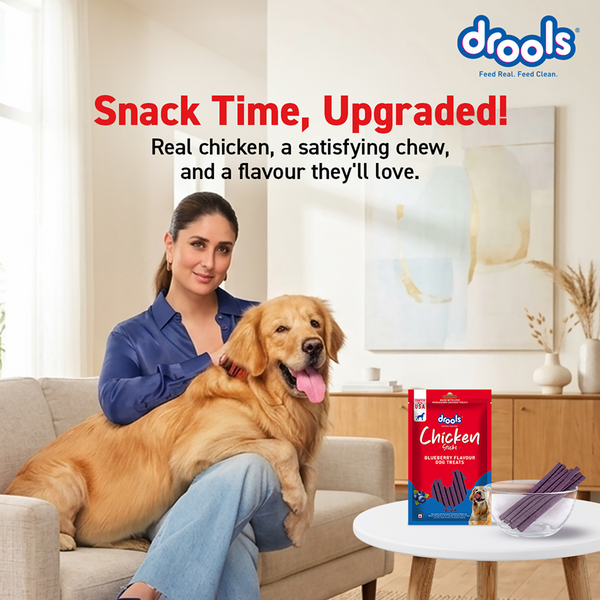 Drools Blueberry Flavour Chicken Sticks Treat for Dogs
