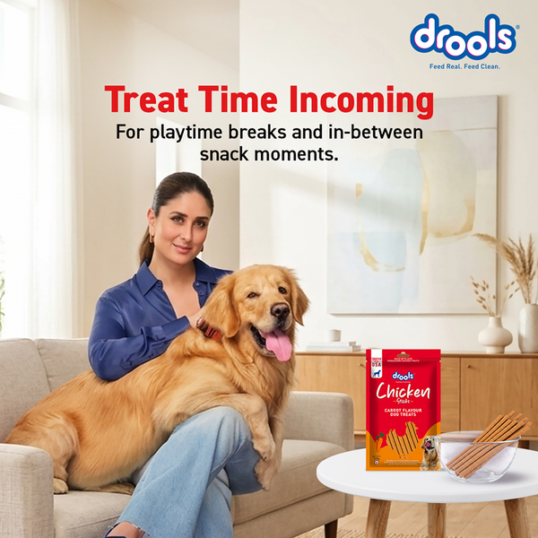 Drools Carrot Flavour Chicken Sticks Treat for Dogs