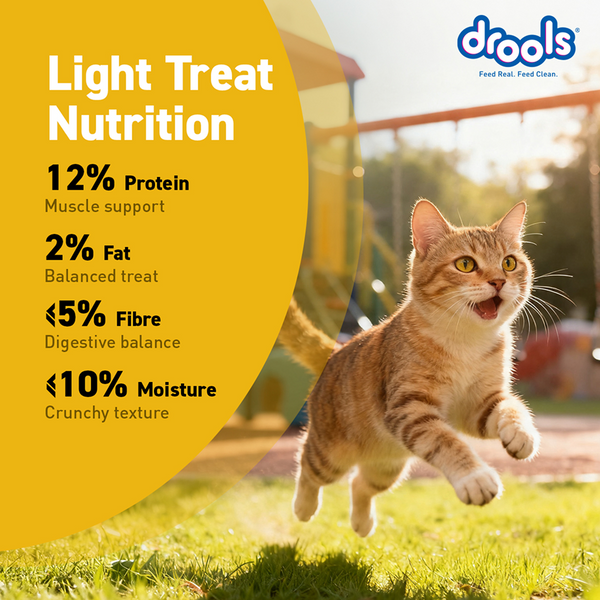 Drools Biscuit Cat Treat (110g)
