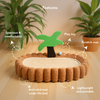 FurryLiving Aloha Bed & Scratcher Mat with Ball Toy for Cats(Brown) Cats-Bedding, Mats & Travel Supplies FurryLiving Dropship