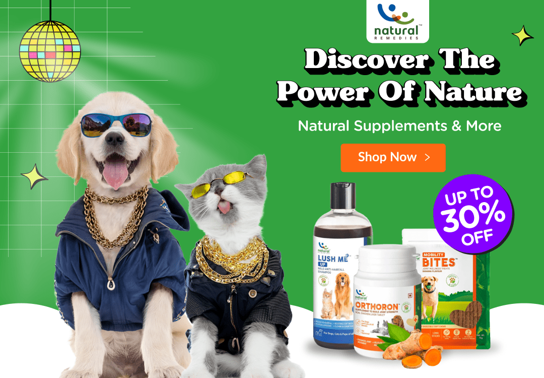 Pet Supply Store