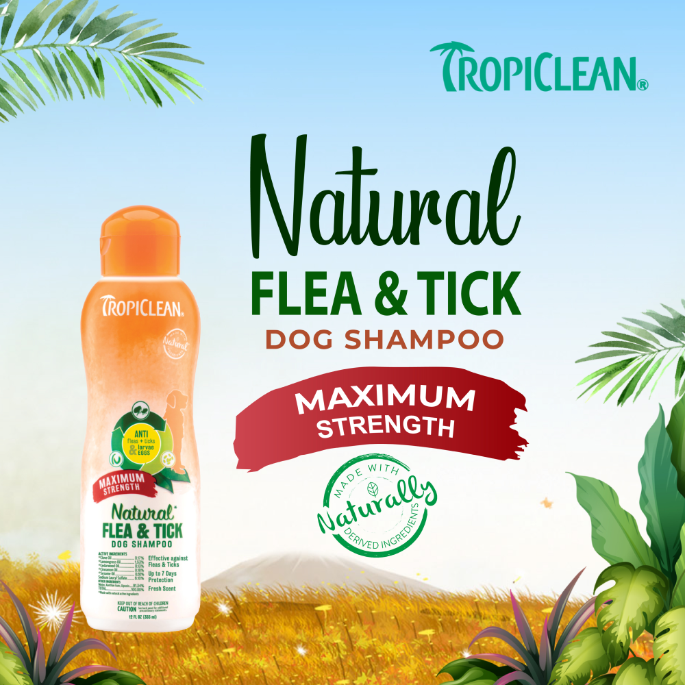 Tropiclean Maximum Strength Natural Flea & Tick Shampoo for Dogs