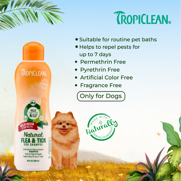Tropiclean Maximum Strength Natural Flea & Tick Shampoo for Dogs