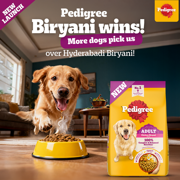 Pedigree Chicken Biryani Flavour Adult Dog Dry Food