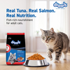 Drools Tuna & Salmon Adult Dry Cat Food Cats- Dry food Drools