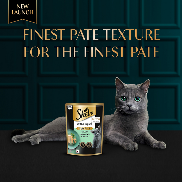 Sheba Maguro Pate Rich Premium Kitten Cat Wet Food