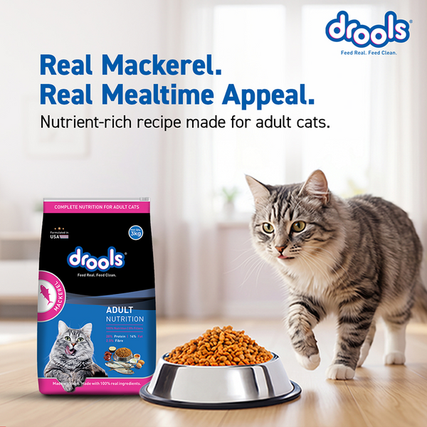 Drools Mackerel Adult Cat Dry Food
