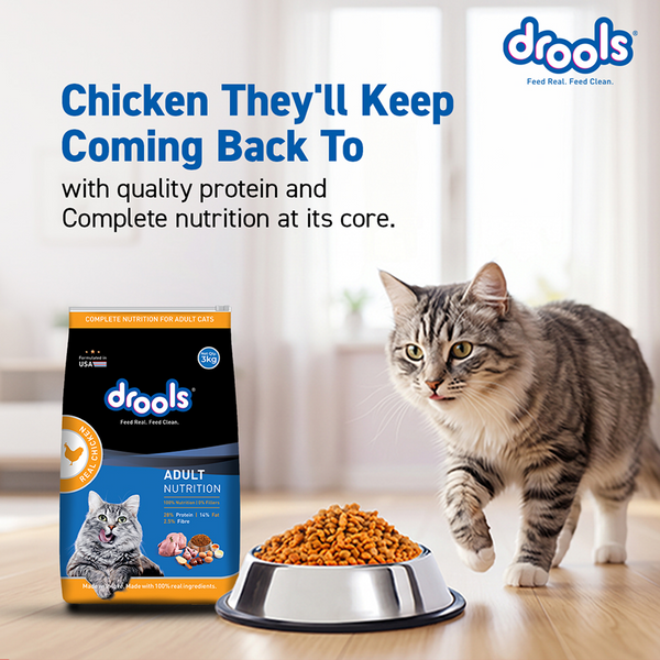 Drools Real Chicken Adult Cat Dry Food