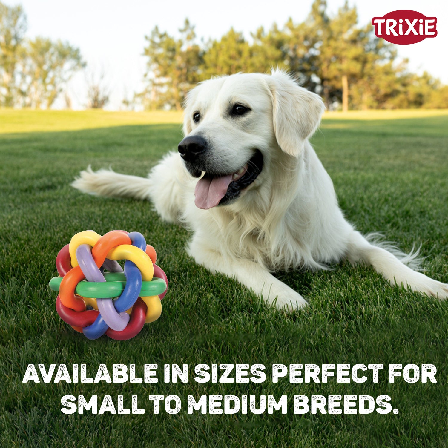 Trixie Natural Rubber Knotted Ball Chew Toy for Dogs Dogs-Toys Trixie