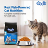 Drools Ocean Fish Adult Cat Dry Food Cats- Dry food Drools