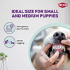 Trixie Junior Knotted Ball Rope Toy with Loops for Dogs