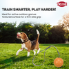 Trixie Ball on a Strap Toy for Dogs (Orange) Dogs-Toys Trixie