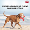 Trixie Triplex Bungee Boomerang Chew Toy for Dogs (Red) Dogs-Toys Trixie