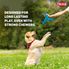 Trixie Triplex Bungee Boomerang Chew Toy for Dogs (Blue) Dogs-Toys Trixie