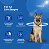 Venttura Flexi Plus Hip and Joint Chewable Tablets for Dogs Both-Health & Wellness Venttura