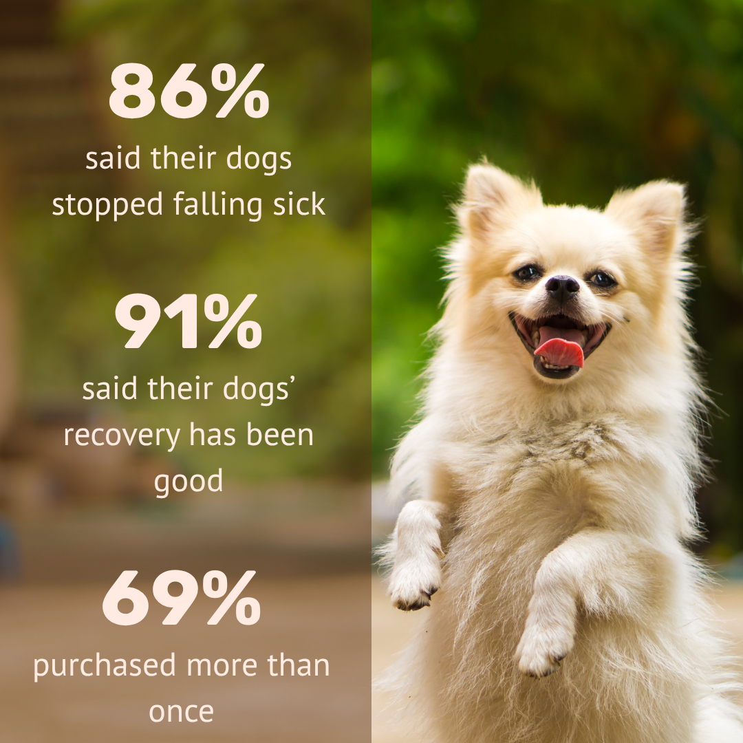 Absolut Pet Postbiotics to Boost Immunity Chews Dogs Treat