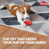 Trixie Jumper Chew Toy for Dogs (Yellow) Dogs-Toys Trixie
