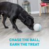 Trixie Plastic Snack Ball Toy for Dogs (Grey) Dogs-Toys Trixie