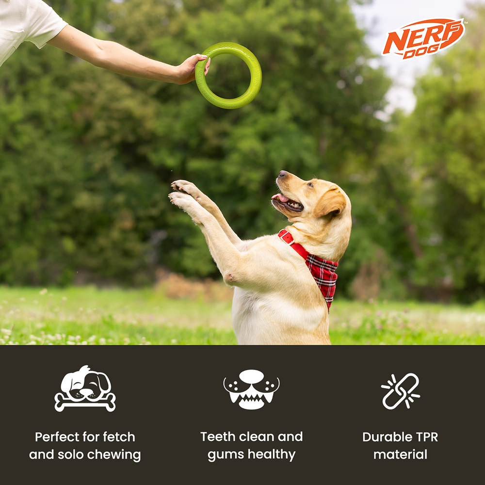 Nerf Dog Dental Tug Ring Toy for Dogs (Green) Dogs-Toys Nerf