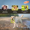 Nerf Dog Dental Tug Ring Toy for Dogs (Green) Dogs-Toys Nerf